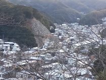 添付画像
