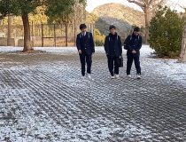 添付画像