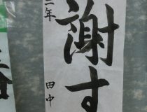 添付画像