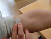 添付画像