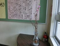 添付画像