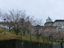 添付画像