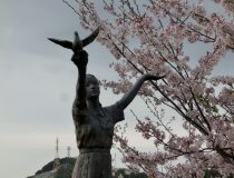 添付画像