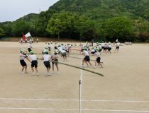 添付画像