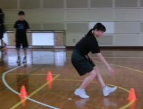 添付画像