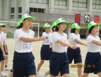 添付画像