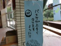 添付画像