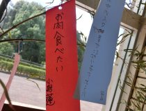 添付画像