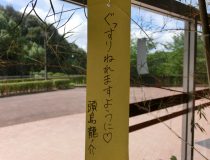 添付画像