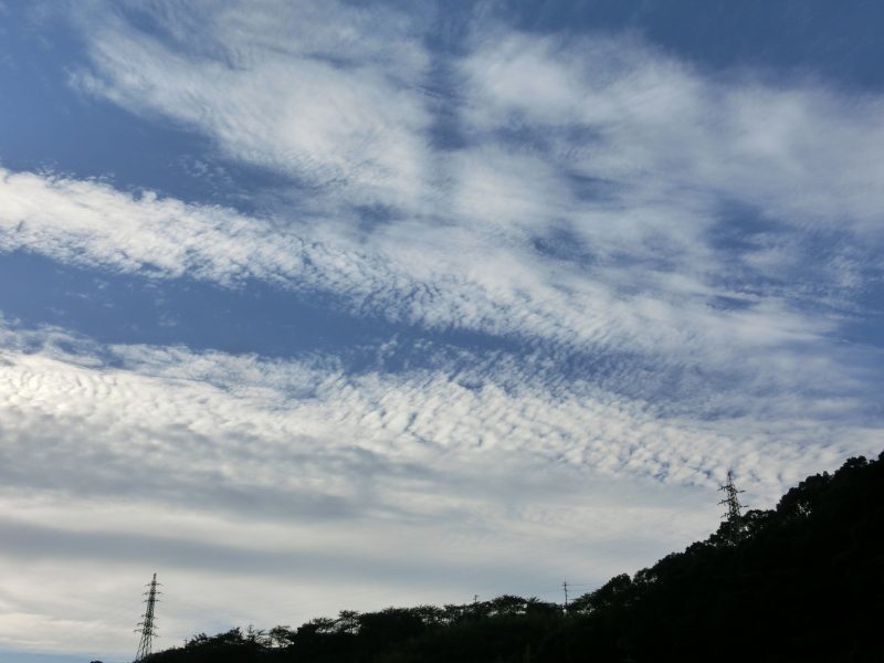 駅伝日記の画像