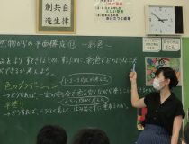 添付画像