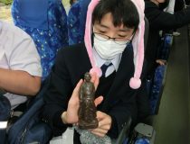 添付画像