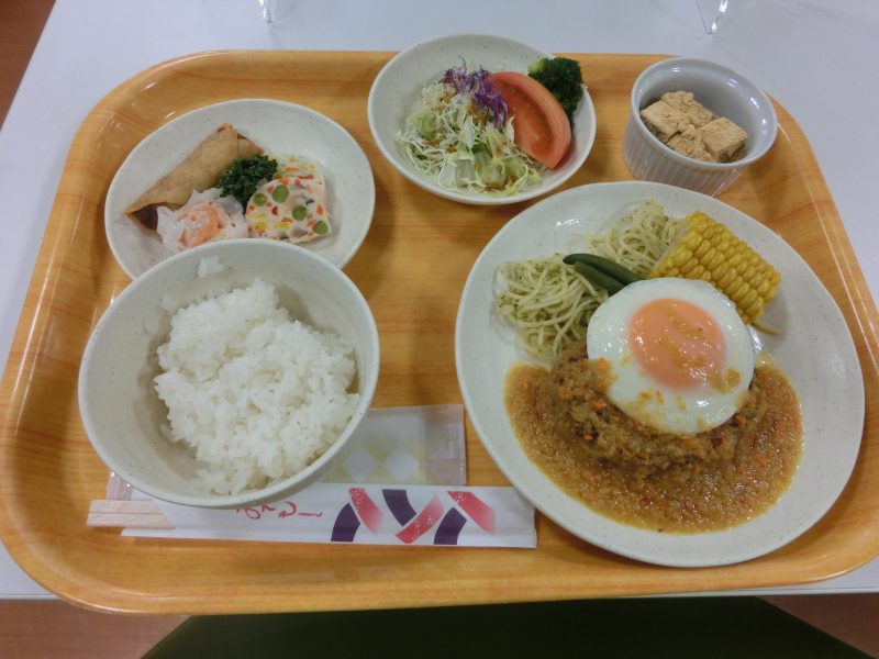 修学旅行⑤の画像