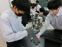 添付画像