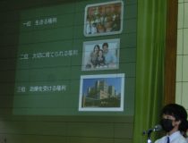 添付画像
