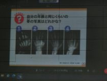 添付画像
