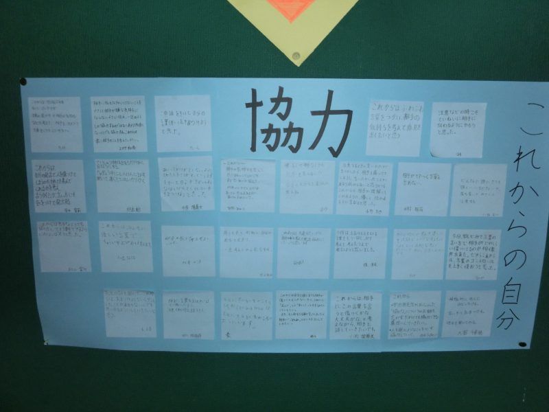 一年生の様子の画像