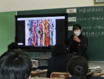 添付画像