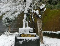 添付画像