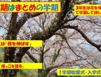 添付画像