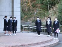 添付画像