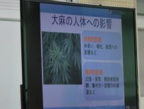 添付画像