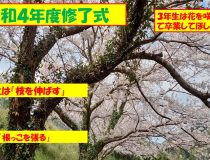 添付画像