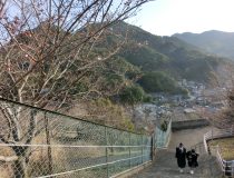 添付画像