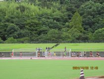 添付画像