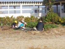 添付画像