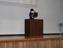 添付画像