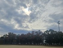 トピックスの画像