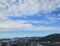 トピックスの画像