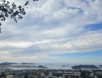 トピックスの画像