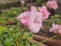 トピックスの画像