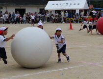 添付画像