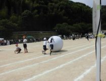 添付画像
