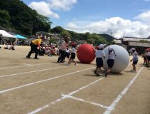 添付画像