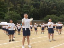 添付画像