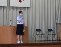 添付画像