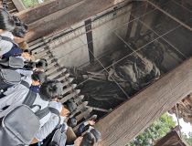 添付画像