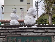 添付画像