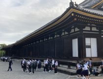 添付画像