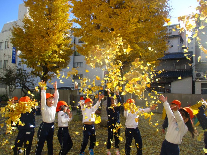 子ども園紹介の画像