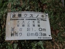添付画像