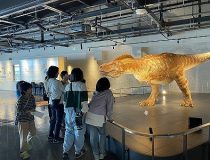 添付画像
