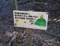 添付画像