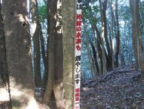 添付画像