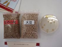 添付画像
