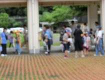 添付画像